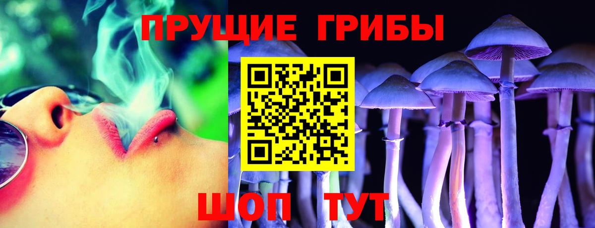 Кызыл  сколько стоит  Вход с VPN  Галлюциногенные грибы Magic Shrooms 